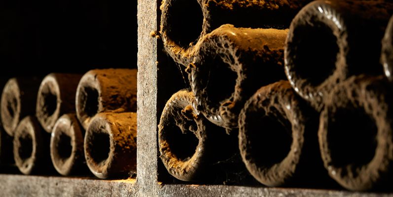 День 1: Шаблі та Бон