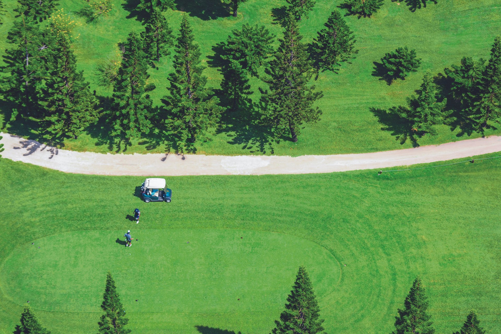 Привілейований доступ до двох полів для гольфу з 18 лунками: гольф-клуб Paradis та Mont Choisy.