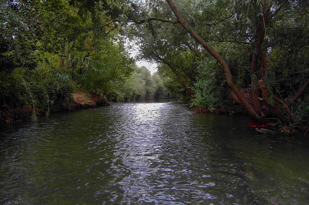 Бетані - Мадаба - гора Небо - Маін - Мертве море