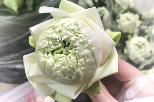 Бангкок: мифы и реальность