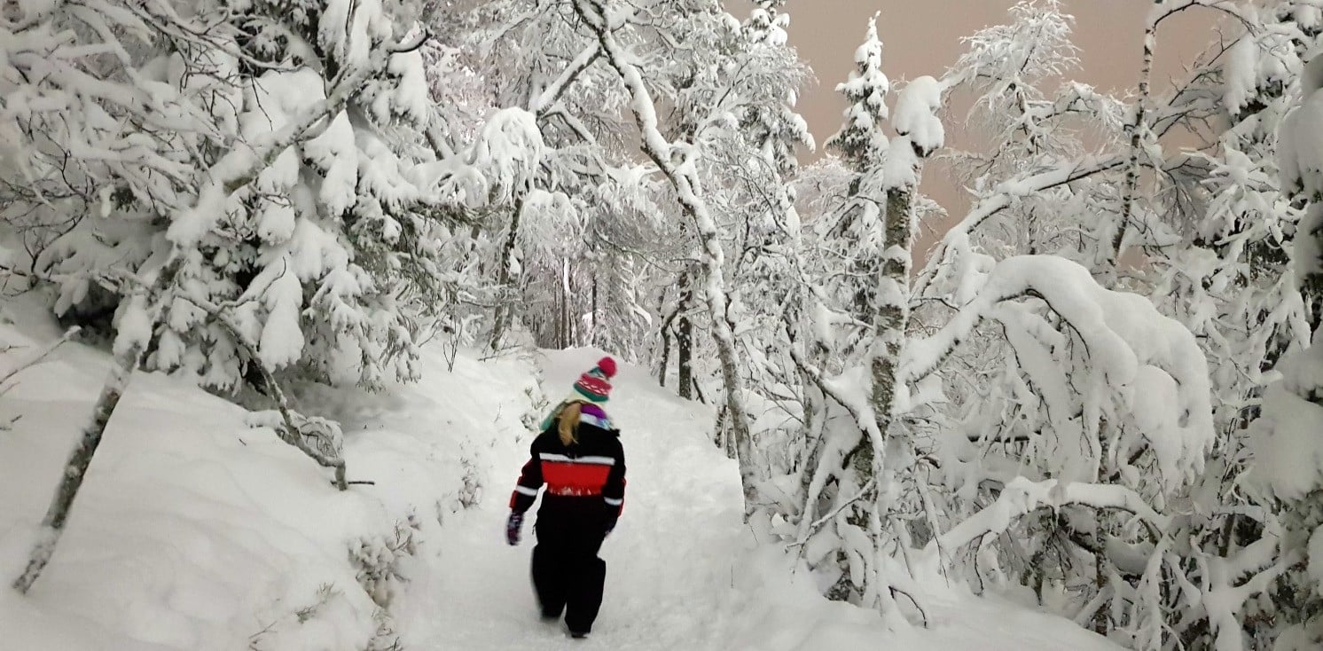 Неподалік від готелю знаходяться численні маршрути для піших походів та катання на бігових лижах.