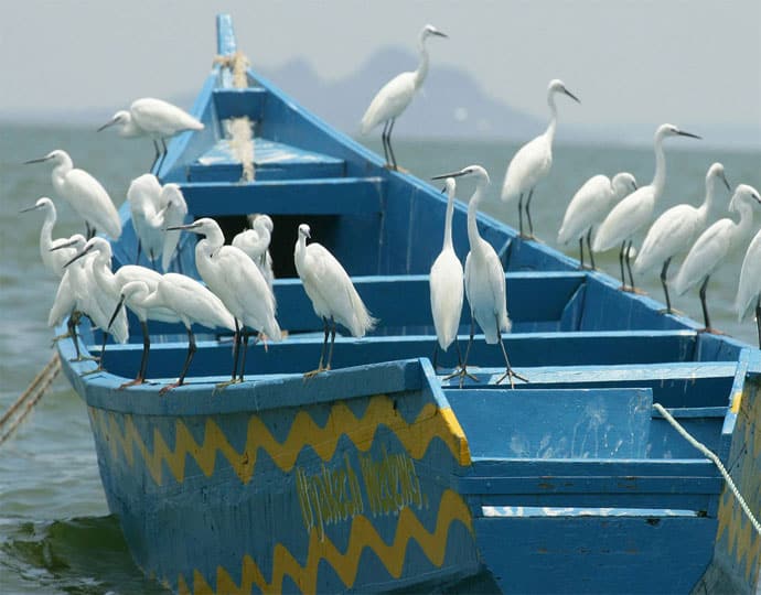 Озеро Магаді