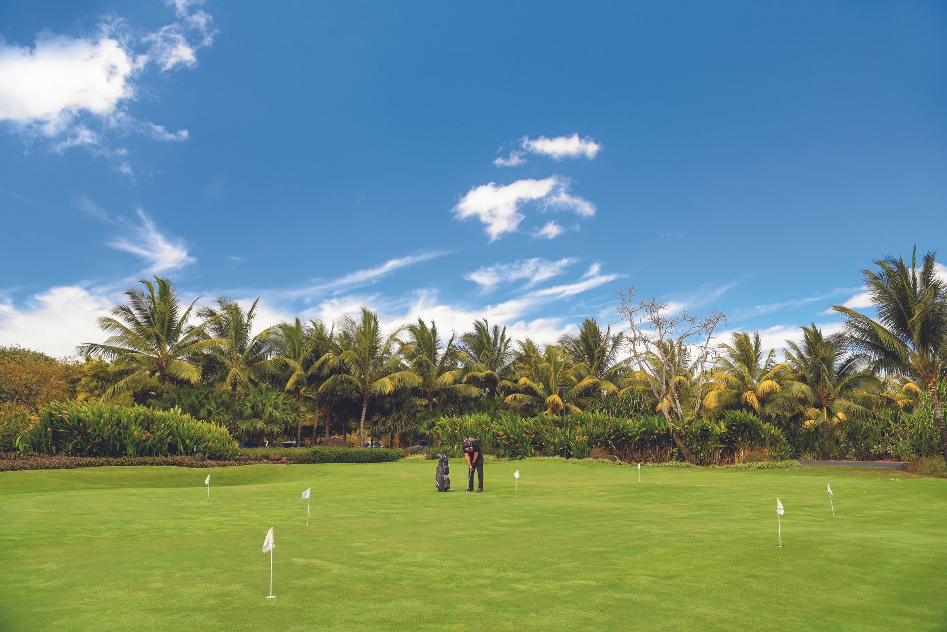 Привілейований доступ до двох полів для гольфу на 18 лунок розміром 72: Paradis Golf Club і Mont Choisy Le Golf.