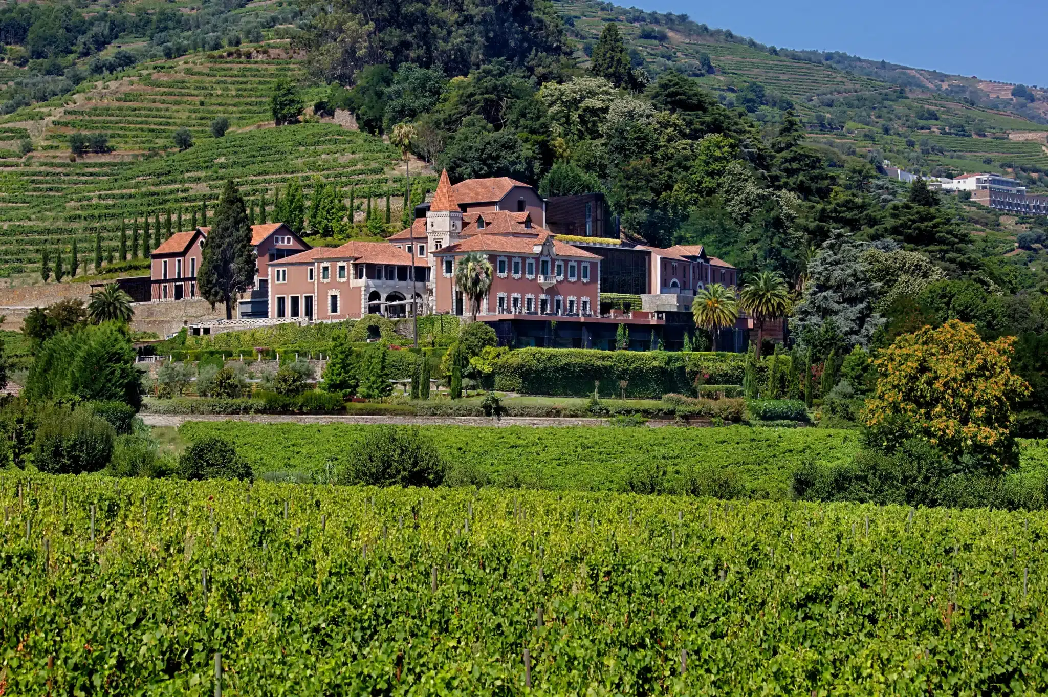 Заради цього експерта гості летять у Senses Douro Valley